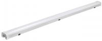 Светильник светодиодный PWP-С3 1200 SHOPLIGHT 40Вт 6500К IP65 4640лм ДСП Pro+ JazzWay 5039360